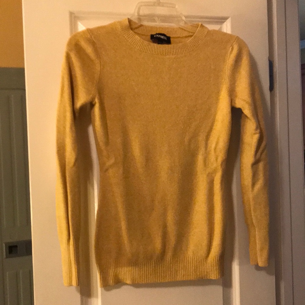 Express crew neck sweater